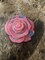 Rose Wax Melts product 4